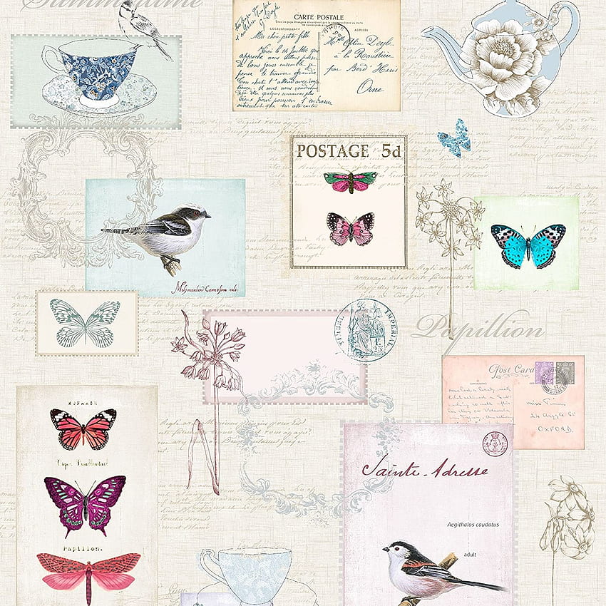Windsor Wallcoverings Vintage Postcards - A160 - Birds, Birds and Butterflies HD phone wallpaper