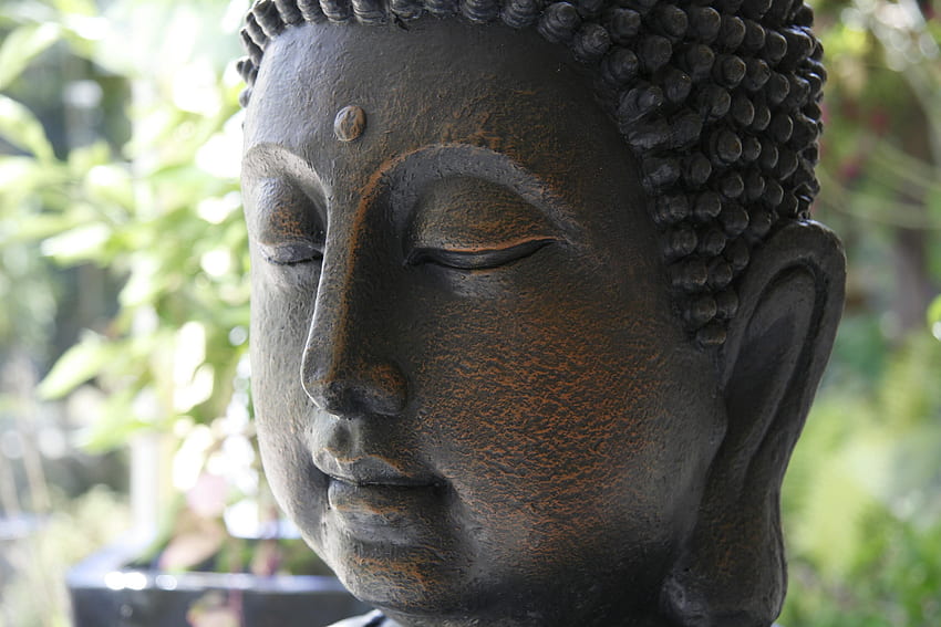ENTERTAINMENT, garden, beautiful, statue, buddha, love, FENG SHUI, peace, meditation, forever HD wallpaper