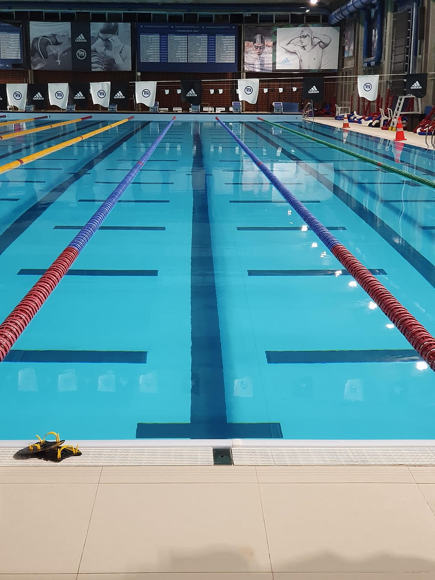Swimming Pool . & Stock, Olympic Swimming HD phone wallpaper