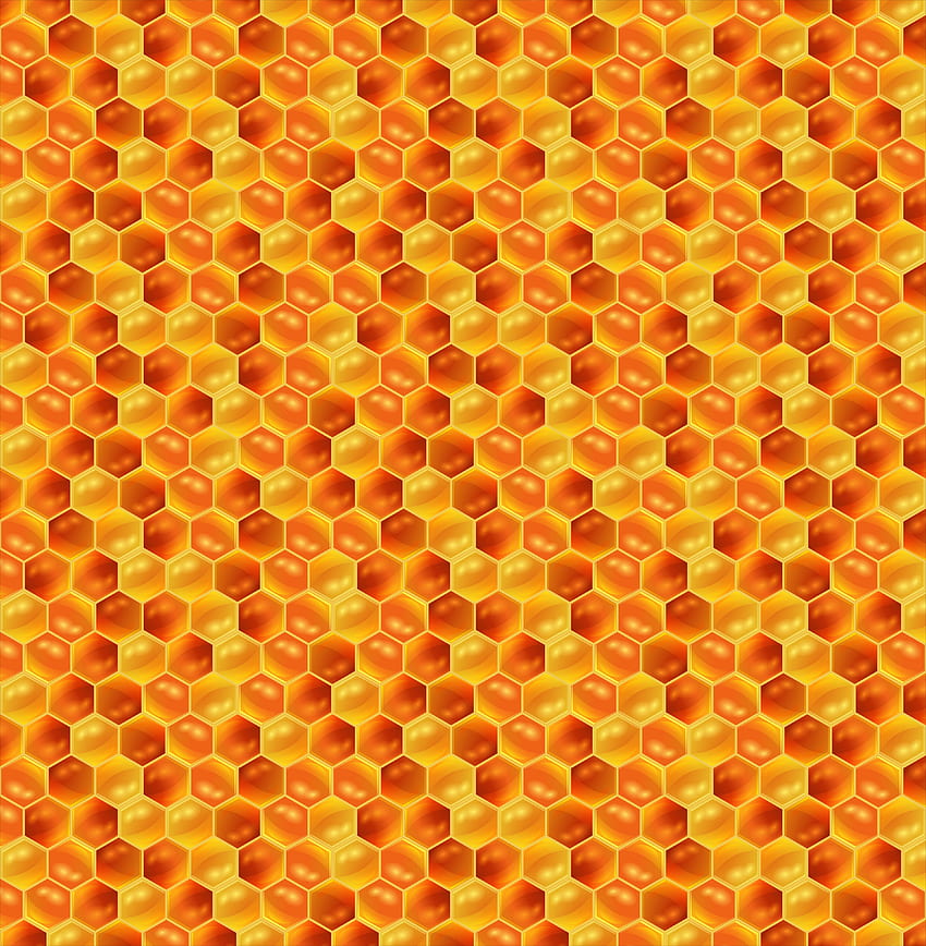 Patterns, Pattern, Texture, Textures, Honey, Honeycomb HD phone wallpaper