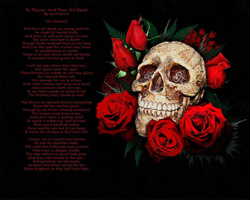 Skull and Flower, Dead Rose HD wallpaper