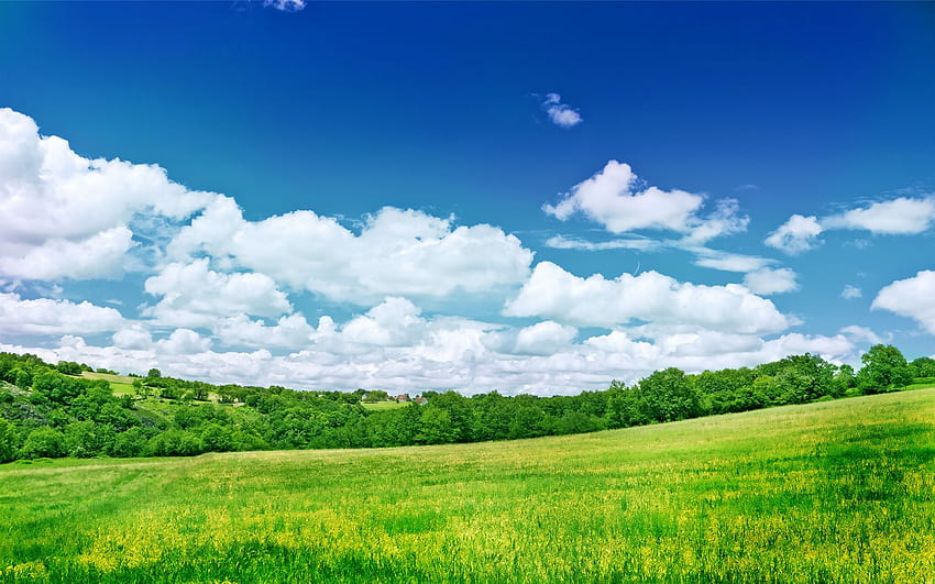 Beautiful Nature for . Beautiful nature, Green Scenery HD wallpaper