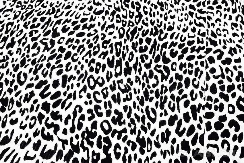 Black white leopard HD wallpapers | Pxfuel