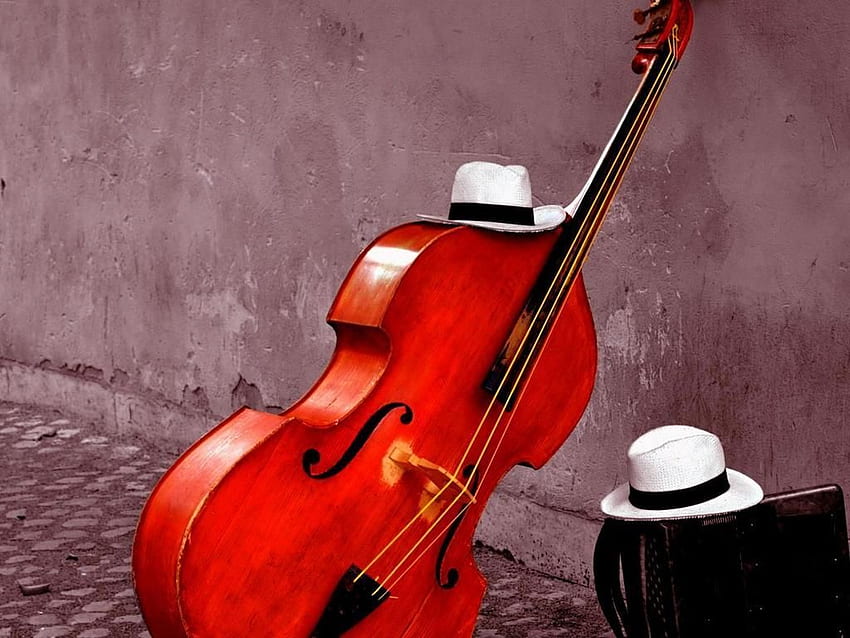 Beautiful Cello HD wallpaper