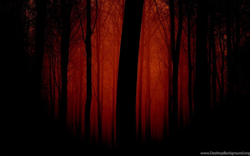 Bosque Rojo Oscuro 5127 , Selva Roja fondo de pantalla
