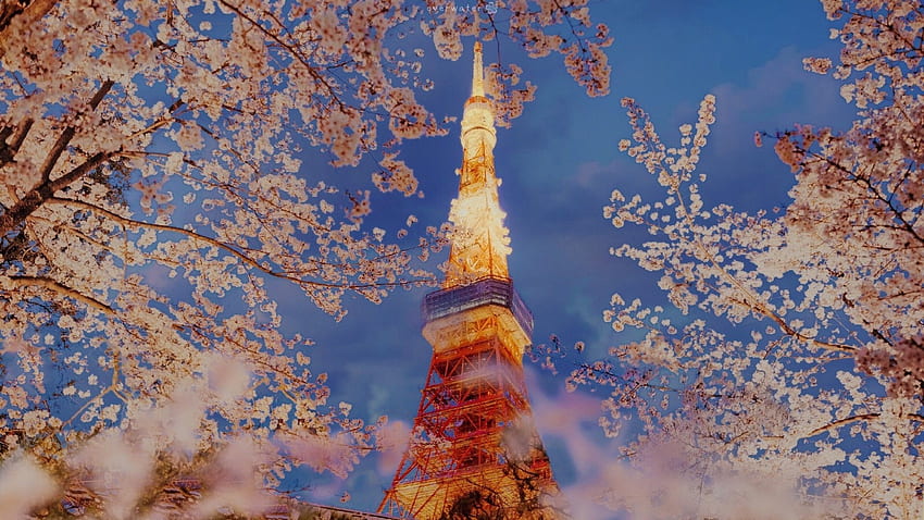 Eiffel-Tower-replica-Japan, Eiffel, Japan, replica, Tower HD wallpaper