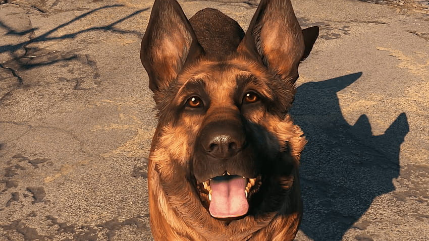 Fallout 4 Companion Guide: Locations And Perks For All 13 Companions, Dog Meat Fallout 4 HD wallpaper