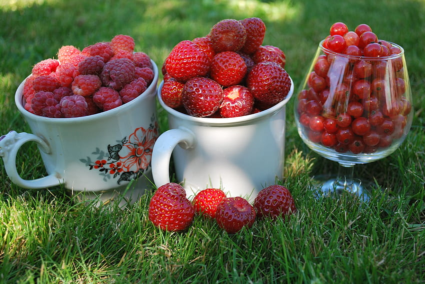 Food, Strawberry, Grass, Cups, Raspberry, Berries, Currant, Macro, Mugs, Wineglass, Goblet, Country House, Dacha HD wallpaper