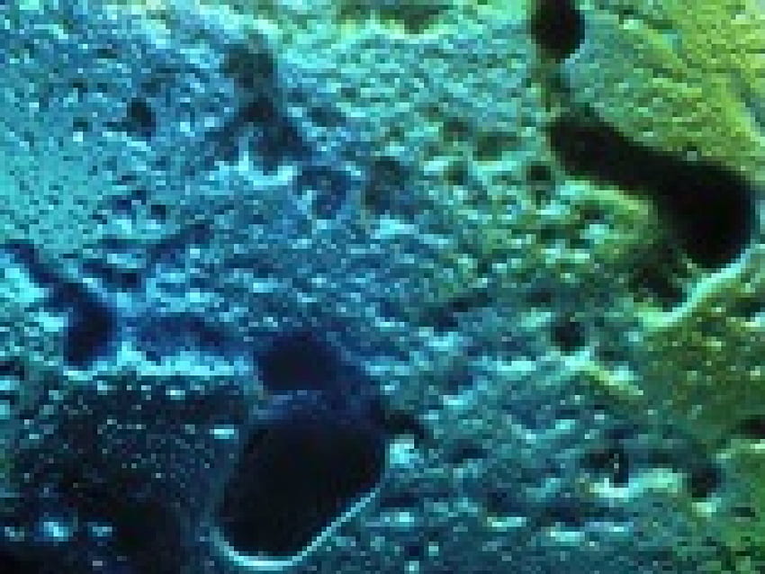 Luna Surface, blue, sponge like, craters, green, spores HD wallpaper