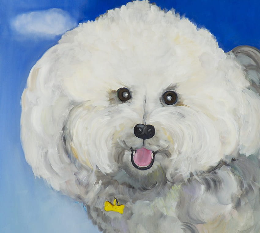クラウドドッグ、犬、白、可愛い、ふわふわ、ビション 高画質の壁紙