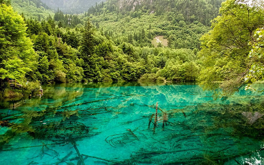 Lago turquesa cristalino Parque Nacional Jiuzhaigou China fondo de pantalla