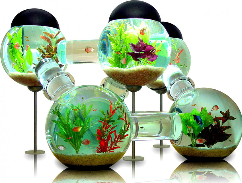 Aquarium, Kunst, tropisch, cool, Tank, Wasser HD-Hintergrundbild