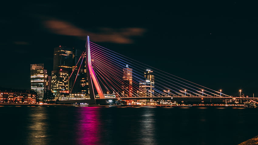 Erasmus Bridge at Night Rotterdam Netherlands HD wallpaper
