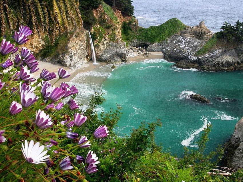 Spectacular Reasons to Take a Road Trip on the Pacific Coast Highway HD wallpaper