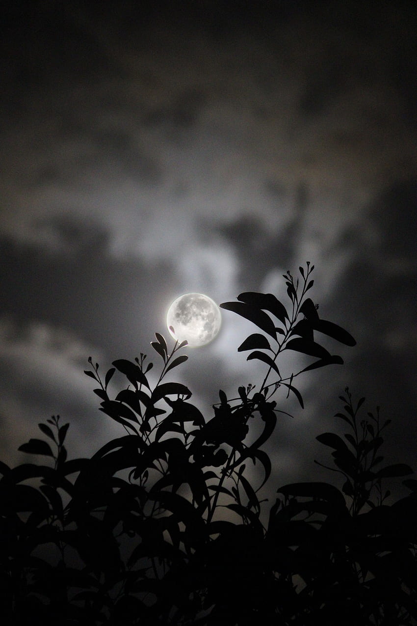 Lua, nuvem, céu, luar, céu noturno Papel de parede de celular HD