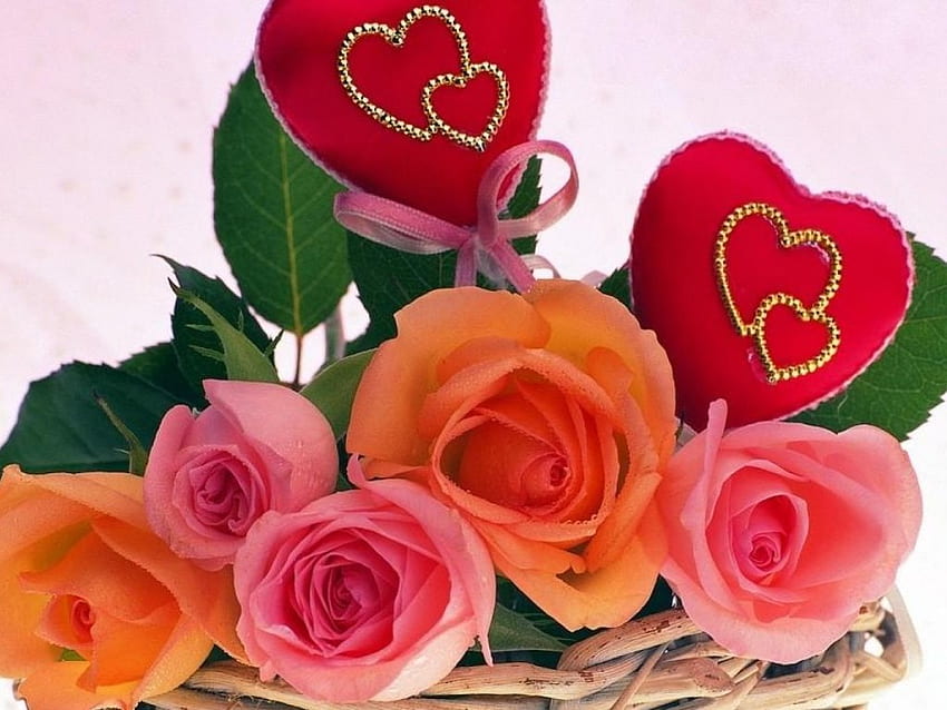 Valentine Roses, cesta, rosas, amor, flores, pessoas papel de parede HD