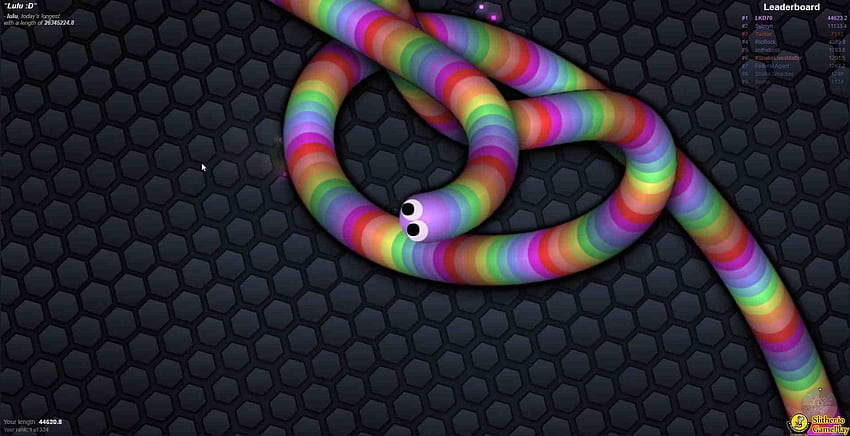 Slither.io - RAINBOW SKIN GamePlay - SPECIAL SKIN Release - World Record  (CODE UPDATE) 