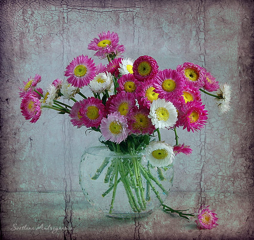 Color Me Spring, karangan bunga, batang, putih, bunga, lembut, vas, musim semi, Latar Belakang, cantik, merah muda, cerah, kaca, tebal, bunga, air, potong Wallpaper HD