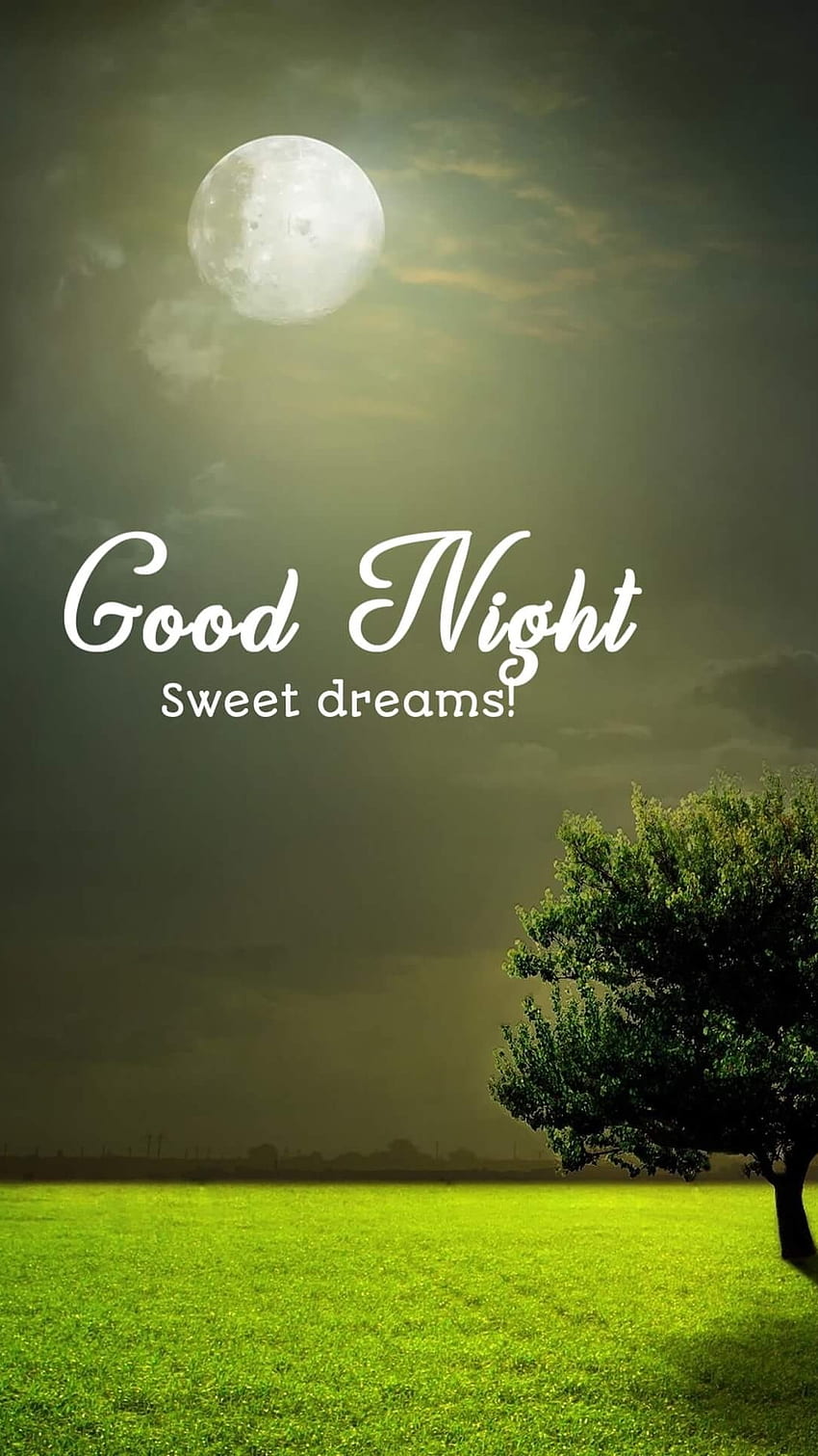 Good Night, Full Moon HD phone wallpaper | Pxfuel