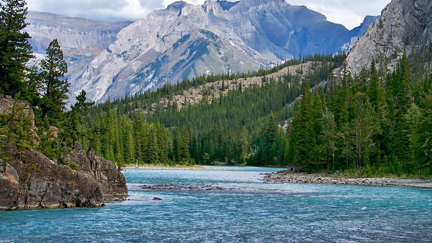 rivière bow dans les rocheuses de l'alberta, rivière, montagnes, forêt, rochers Fond d'écran HD