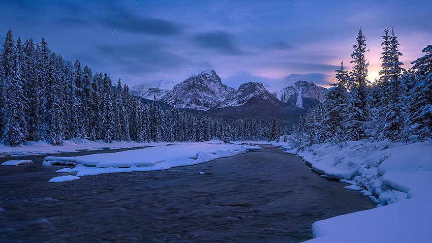 カナダ 冬のカナディアン ロッキー 1440P 解像度、自然、および背景、Windows 10 Winter 高画質の壁紙