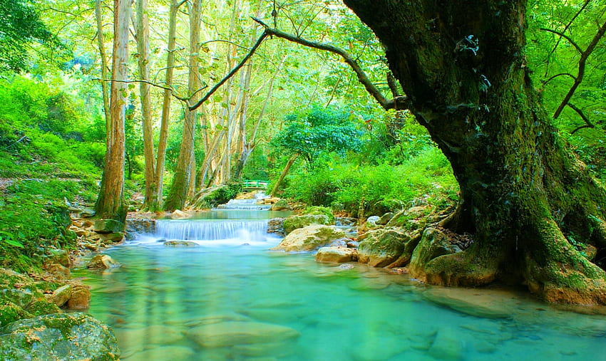 Emerald Falls, Mexico, creek, green, trees, waterfalls, beautiful, Chuveje, foliage HD wallpaper
