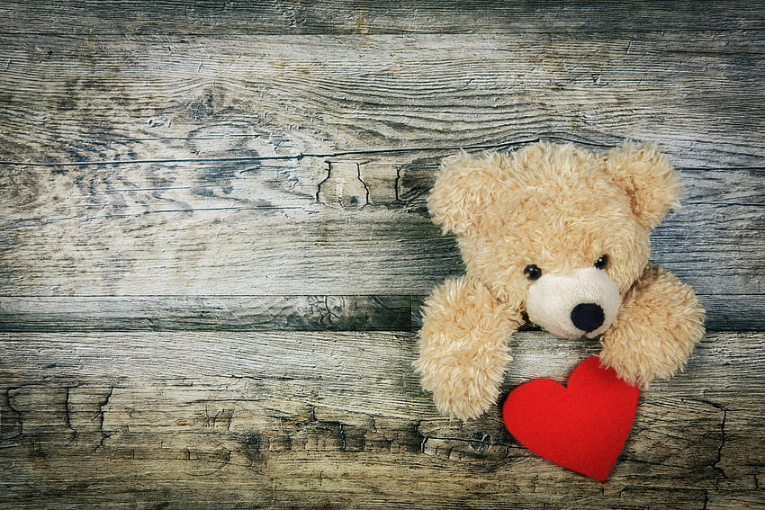 ความรัก ตุ๊กตาหมี หัวใจ วันวาเลนไทน์ วอลล์เปเปอร์ HD