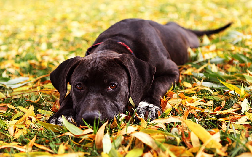 luka-buck-on-twitter-feels-nice-to-lie-down-after-a-long-walk