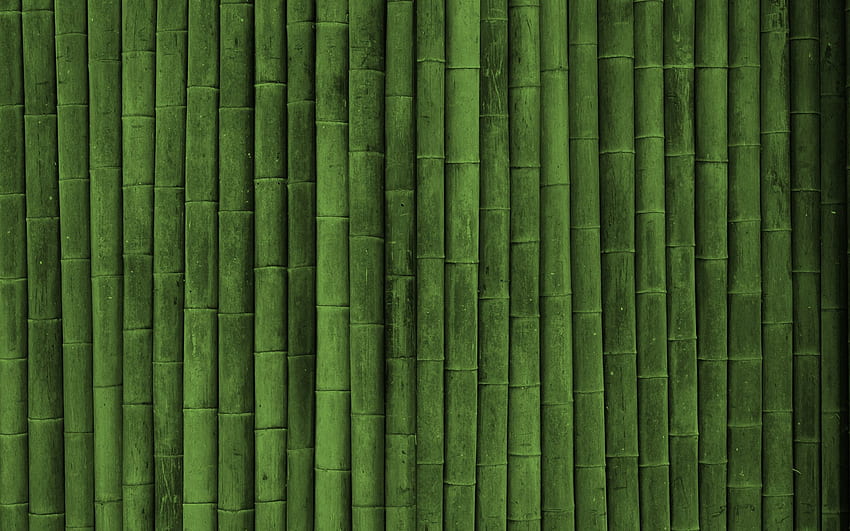 Tekstur, Tekstur, Bambu, Vertikal, Tongkat, Tongkat Wallpaper HD