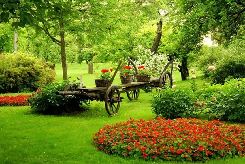 hermoso jardín, carro de empuje, vagón, árboles, jardín, flores, parque, carro fondo de pantalla