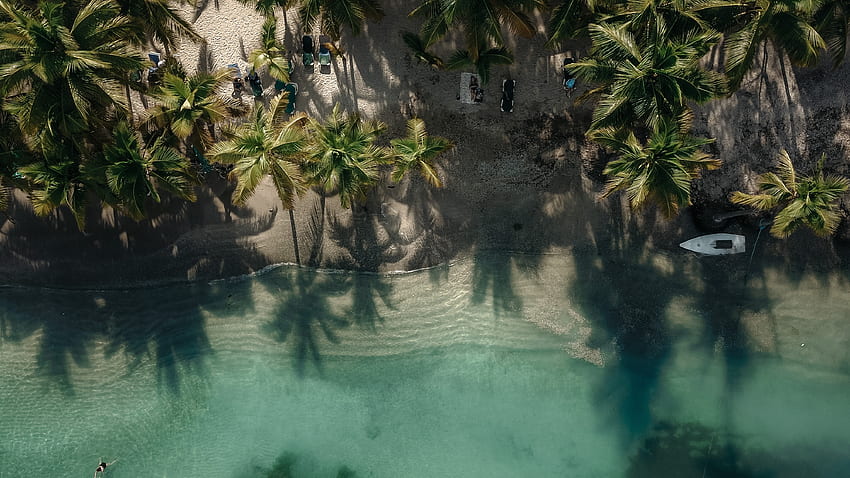 Exótico, playa, palmeras, vista de drones. fondo de pantalla