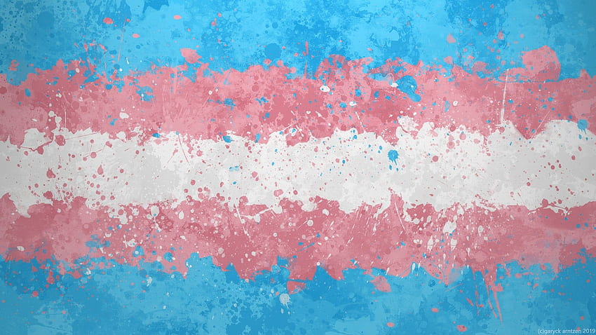 Cześć R Transgender, robiłem te niechlujne, malarskie flagi Tapeta HD