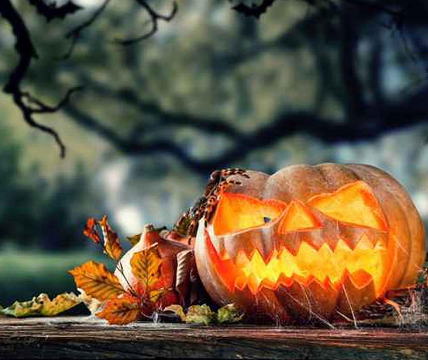 Calabaza de Halloween, Halloween, calabaza, hoja, decoración, oscuro fondo de pantalla