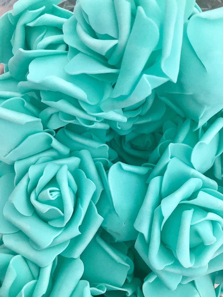 Rosas azuis Tiffany em 2021. Azul Tiffany , Fundo azul Tiffany, Turquesa , Rosa Teal Papel de parede de celular HD