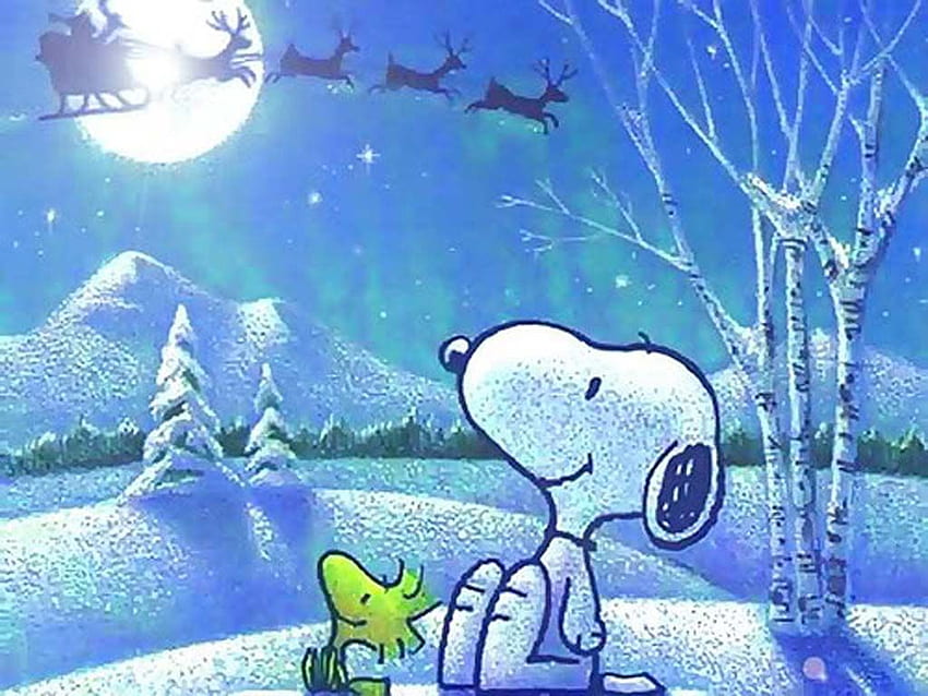 Noel Snoopy, Snoopy ve ormancılık, Snoopy aşkı, Charlie Brown Winter HD duvar kağıdı