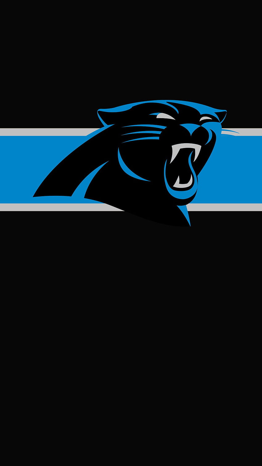 Carolina Panthers Team Wallpapers  Top Free Carolina Panthers Team  Backgrounds  WallpaperAccess