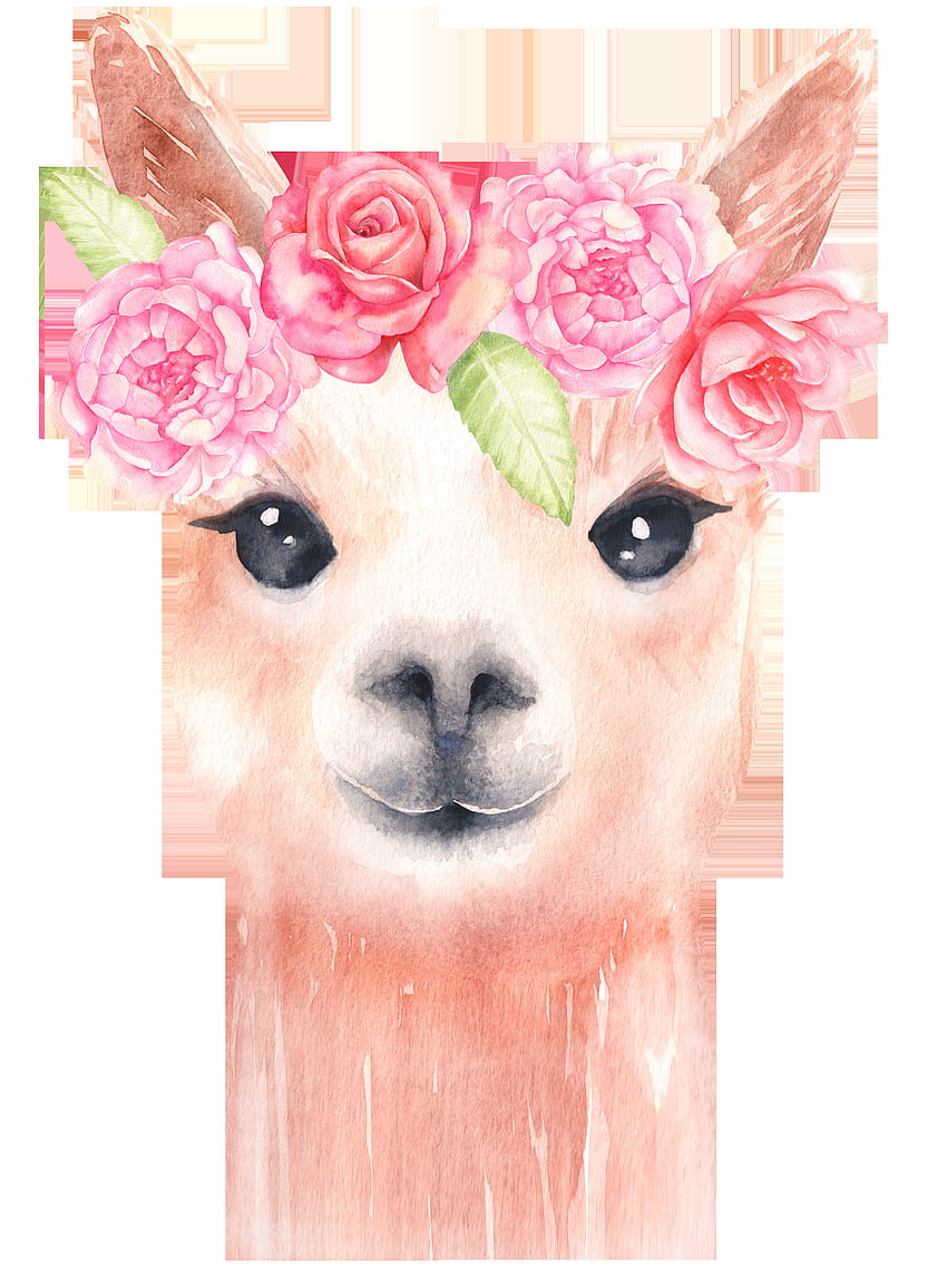 Aquarelle Lama clipart, clipart Animal Mignon, Aquarelle Alpaga, Baby Llama Tapeta na telefon HD