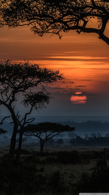 30k+ African Landscape Pictures | Download Free Images on Unsplash