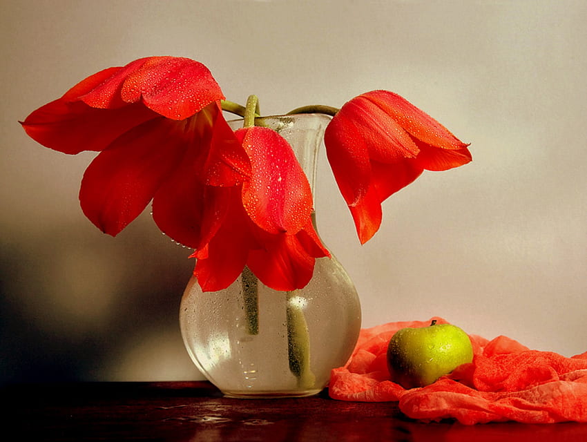 Spring Dew, mesa, gotas de orvalho, vaso, lenço vermelho, tulipas, natureza morta, tulipas vermelhas, maçã, flores, gotas papel de parede HD