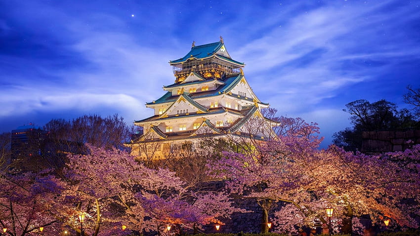 Japan, Osaka, Himeji Castle, sakura, lighting HD wallpaper
