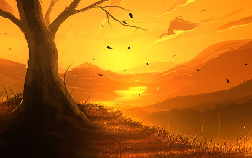 Sonne Untergang, Aufgang, Untergang, Sonne, Land, Baum HD-Hintergrundbild