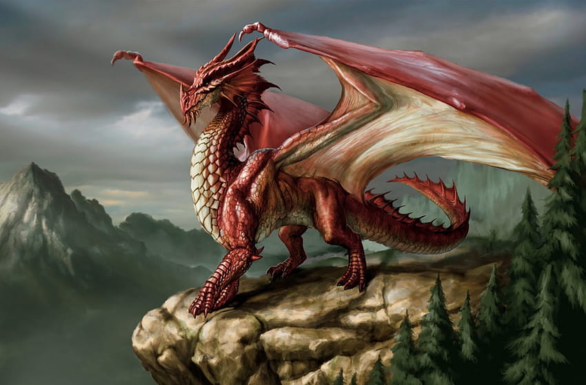 赤い誇り、ドラゴン、誇り、神話、赤 高画質の壁紙