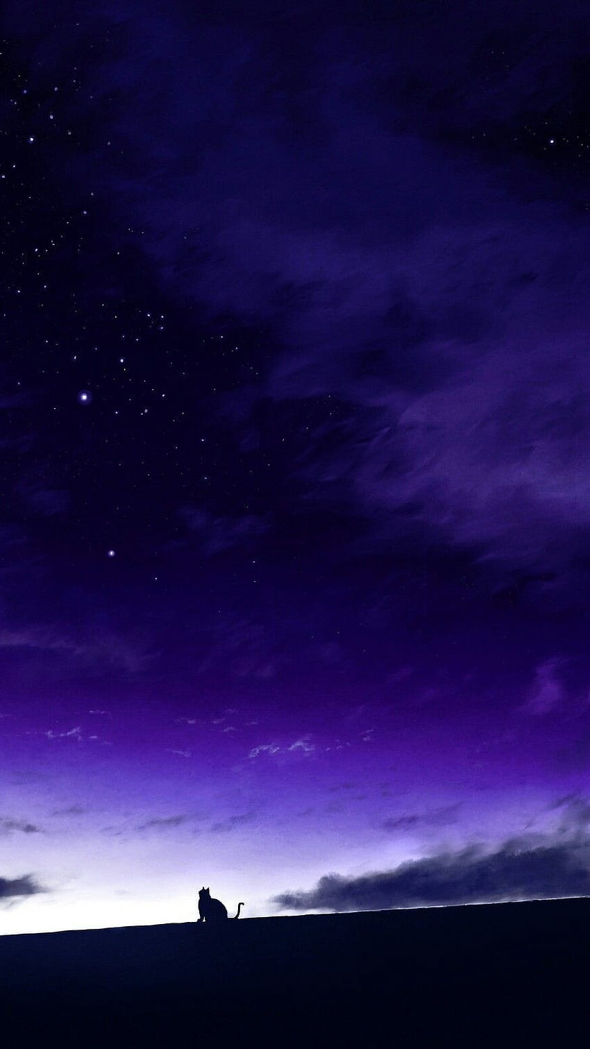 Night Background, Night HD phone wallpaper | Pxfuel