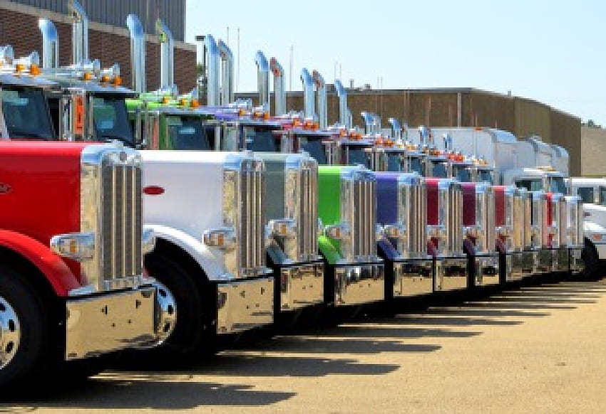 Keep on Truckin, Which Color Do You Want?, big rig, peterbilt, semi, truck HD wallpaper