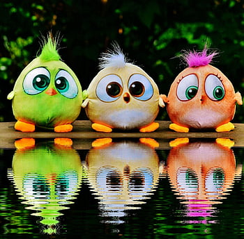 Cute Angry Birds Wallpapers - Top Free Cute Angry Birds Backgrounds -  WallpaperAccess