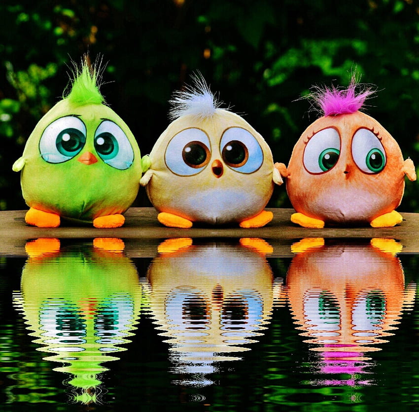 iPhone Cute Angry Bird, Cute Angry Birds HD wallpaper