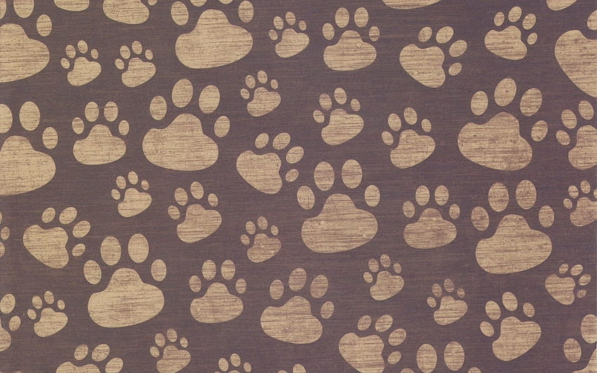 Gray dog foot print textile, Dog Paw HD wallpaper