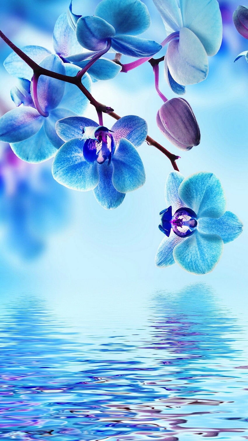 Beautiful Water (Best Beautiful Water and ) di Chat, Cute Water wallpaper ponsel HD