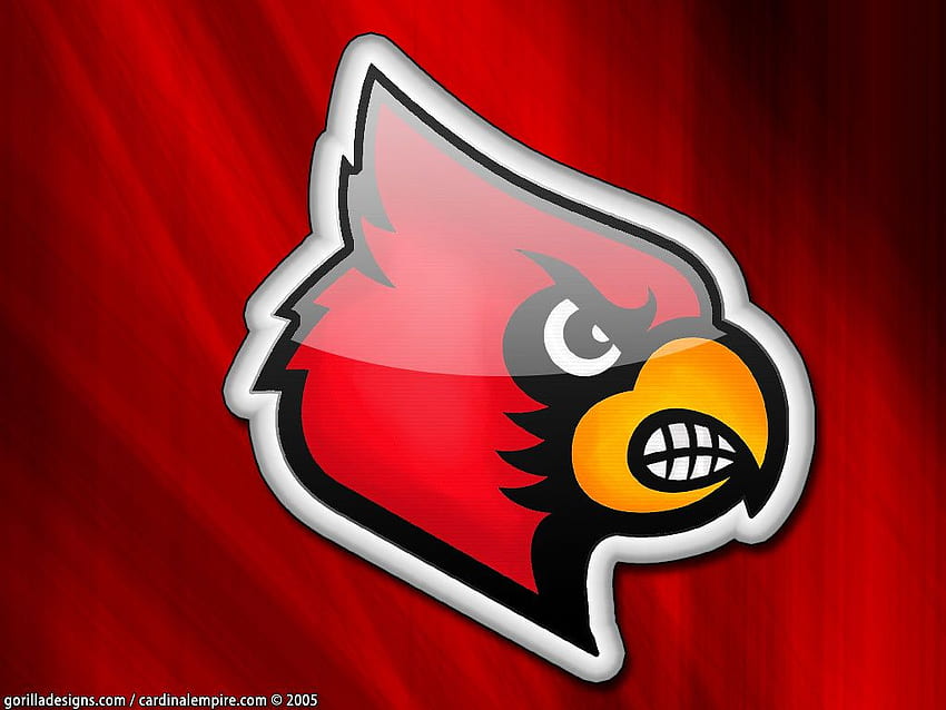 The World's Best of empire and uofl - Flickr Hive Mind, Louisville Cardinals HD wallpaper