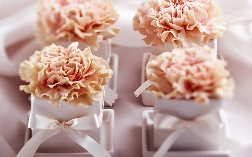 Carnation Gifts, peachy, pink, carnations, white, boxes, ribbons, nature, flowers HD wallpaper